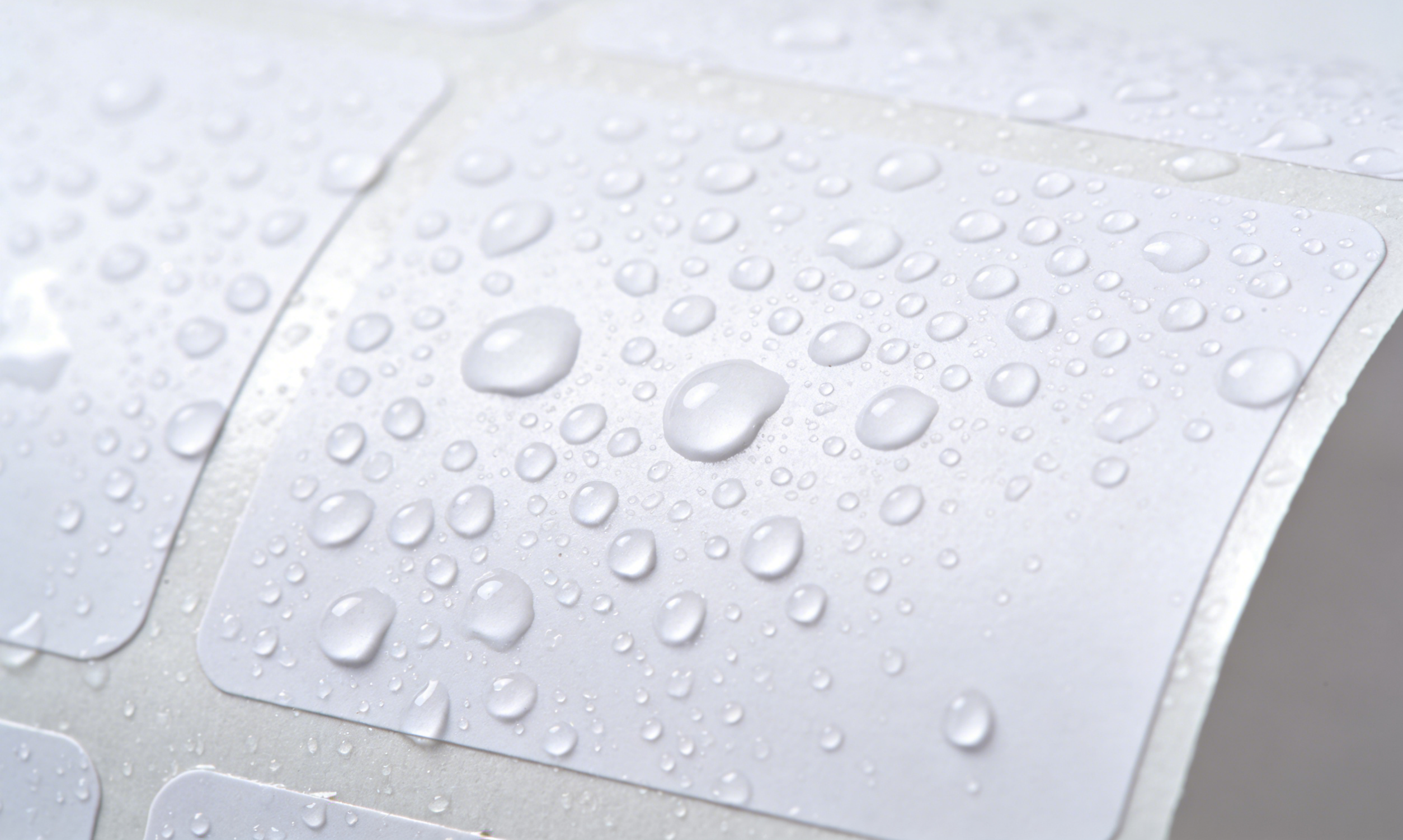 Waterproof PET label paper